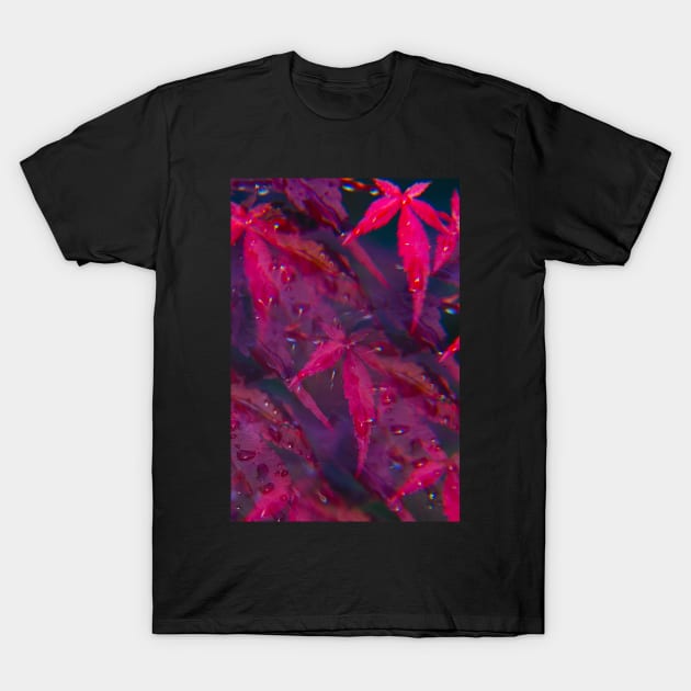 Japanese maple, or Acer, shot through a prisma T-Shirt by karinelizabeth